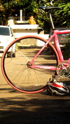 Pink VISP TRX790 photo