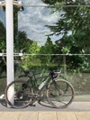 Planet X Kaffenback photo
