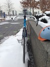 Karl II -- Planet X Track Pro, Guru Blue photo