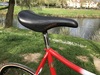 Pogliaghi Pista Pursuit photo