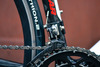 Polar FullCarbon Roadbike photo