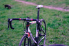 Polar FullCarbon Roadbike photo