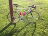 Polished Cannondale CAAD10 photo