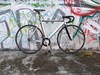 Polished Visp NXL photo