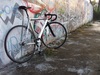 Polished Visp NXL photo