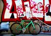 Polo & Bike CMNDR photo