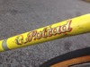 polrad track bike photo