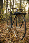 Porteur Singlespeed - Lady Racer photo