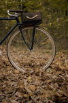 Porteur Singlespeed - Lady Racer photo