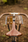 Porteur Singlespeed - Lady Racer photo
