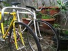 Presto NJS white sparkle photo