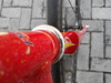 Presto Red Sparkle NJS photo