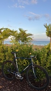 Presto Solution (NJS) photo