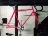 Pretty in Pink Baramon NJS photo