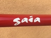 Principa Gaia photo