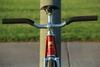 Procyon NJS photo