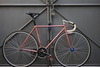 Procyon NJS photo