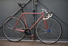 Procyon NJS photo