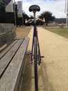 Purple Bareknuckle (Gates drivetrain) photo