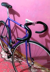 Purple Bridgestone NJS (FOR $ALE!) photo