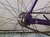 Purple Fixed Gear photo