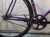 Purple Fixed Gear photo