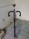 Purple Fixed Gear photo