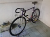 Purple Fixed Gear photo