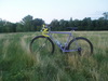 Purple-Pedro-Pedaller photo Purple-Pedro-Pedaller photo
