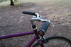 Purple Soma Rush photo
