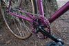 Purple Soma Rush photo