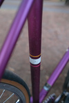 Purple Soma Rush photo