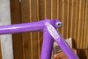 Purple Sparkle Vivalo NJS photo