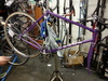 Purple Sparkle Vivalo NJS photo