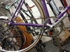 Purple Sparkle Vivalo NJS photo