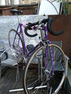 Purple Sparkle Vivalo NJS photo