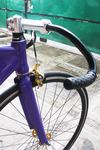 Purple Visp TRX 790 photo