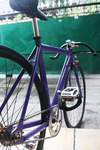 Purple Visp TRX 790 photo