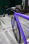 Purple Visp TRX 790 photo