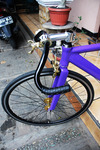 Purple Visp TRX 790 photo