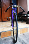 Purple Visp TRX 790 photo
