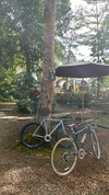 Pursuit Gravel Fixed Gear photo
