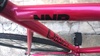 Pursuit Hot Pink Ave Maldea photo