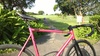 Pursuit Hot Pink Ave Maldea photo