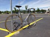 Chrome, 1977 Schwinn Super Le Tour 12.2 photo