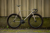 Quokka crit concept photo Quokka crit concept photo