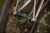 Quokka crit concept photo Quokka crit concept photo