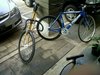 raihan's raleigh photo