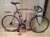 Raleigh 12 speed Fixed Conversion photo
