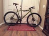 Raleigh 29er photo